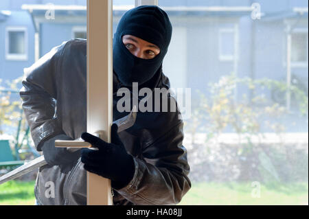 Housebreaker Stockfoto