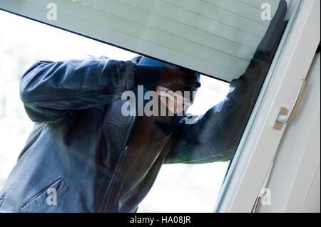 Housebreaker Stockfoto