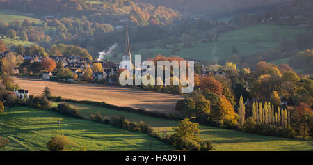 Painswick, Gloucestershire, Anzeigen im Frühling mit Buche Stockfoto