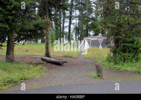 Yellowstonenps 16154681854 Bridge Bay Campground Website Stockfoto