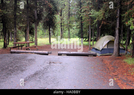 Yellowstonenps 16589590830 Bridge Bay Campground Website Stockfoto