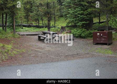 Yellowstonenps 16776523092 Bridge Bay Campground Website Stockfoto