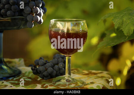 Hausgemachten Wein aus Trauben. Glas Wein, Trauben, die vor dem Hintergrund des Weinstocks fotografiert. Stockfoto