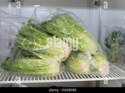 Das Bild zeigt das Food Distribution on Indian Reservations Program (FDPIR) des USDA, das indianischen Gemeinden nahrhafte Lebensmittel liefert, darunter frisches Obst und Gemüse, um eine bessere Gesundheit und Ernährung zu fördern. Stockfoto