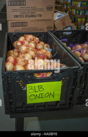 Das Food Distribution on Indian Reservations (FDPIR)-Programm des USDA, das dazu beiträgt, frisches Obst und Gemüse in das Oneida-Indianerreservat in Wisconsin zu liefern, unterstreicht die Rolle der Ernährung in den indianischen Ureinwohnern. Stockfoto