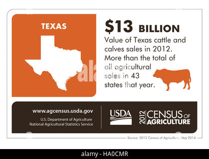 Diese Infografik des US-Landwirtschaftsministeriums zeigt wichtige Statistiken und Initiativen in Texas im Zusammenhang mit Landwirtschaft, natürlichen Ressourcen und Umweltschutz und zeigt das Engagement des Bundesstaates für nachhaltige Praktiken und Ressourcenmanagement. Stockfoto