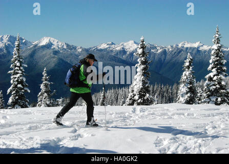 Im Winter gleitet ein Skilanglauf über die schneebedeckten Pfade der Hurricane Ridge im Olympic National Park. Die Wintersportangebote des Parks heben die vielfältigen Naturlandschaften und Erholungsmöglichkeiten hervor. Stockfoto
