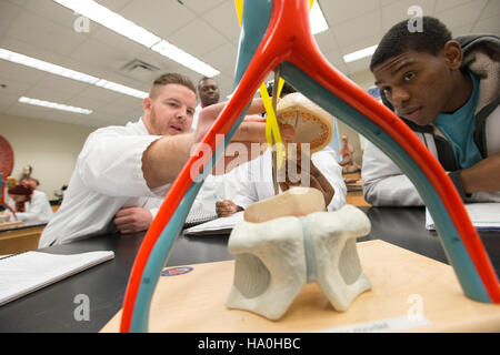 Das Supplemental Nutrition Assistance Program (SNAP) des USDA unterstützt einkommensschwache Einzelpersonen und Familien im Rahmen des Farm Bill von 2014. Das Programm verbindet Menschen mit wichtigen Nahrungsmittelhilfeprogrammen und Berufsausbildungsprogrammen und arbeitet mit dem Arbeitsministerium zusammen, um die Beschäftigungschancen zu verbessern. Stockfoto