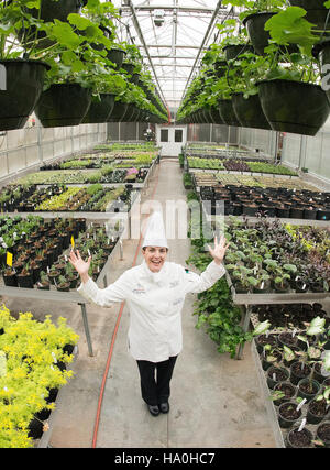 Das Supplemental Nutrition Assistance Program (SNAP) des USDA unterstützt Familien mit niedrigem Einkommen durch Nahrungsmittelhilfe. Das Programm ist Teil des umfassenderen Farm Bill und umfasst die Zusammenarbeit mit dem Department of Labor für Beschäftigungs- und Ausbildungsinitiativen. Stockfoto