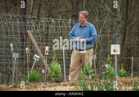 Das Supplemental Nutrition Assistance Program (SNAP) des USDA unterstützt Ernährungserziehung, Initiativen vom Bauernhof zum Tisch und die Entwicklung von Arbeitskräften durch Schulungsprogramme. Stockfoto