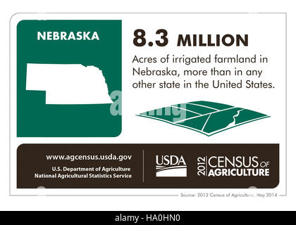 Diese Infografik veranschaulicht wichtige landwirtschaftliche Statistiken für Nebraska und zeigt die wichtigsten Kulturen, landwirtschaftlichen Praktiken und wirtschaftlichen Auswirkungen des Bundesstaates. Es unterstreicht Nebraskas Rolle als eine führende Rolle in der US-Landwirtschaft. Stockfoto