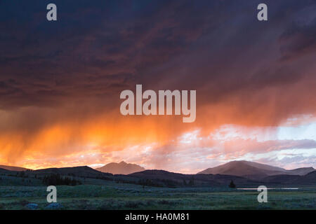 Yellowstonenps 18837881242 Gewitter bei Sonnenuntergang, Swan See flach Stockfoto