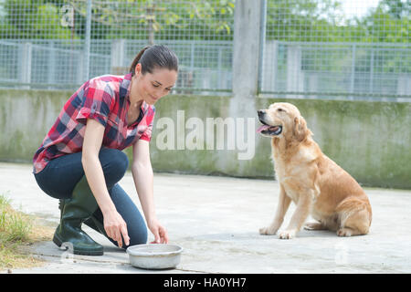 engagierte Mädchen Ausbildung Hund im Zwinger Stockfoto