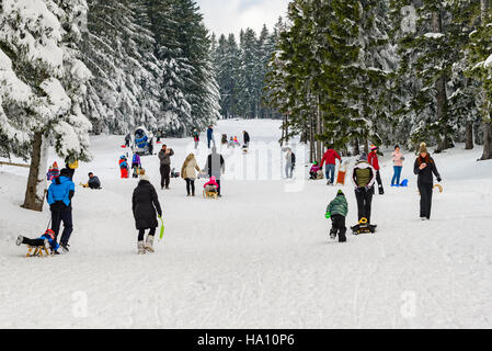 Pohorje, Slowenien - 13. November 2016: Kinder, deren Eltern Rodeln und Spaß am ersten Schnee in der Saison an den Hängen des Trije kralji Stockfoto