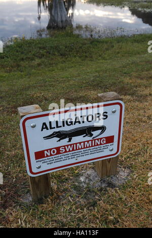 Alligator-Warnschild am Rande eines Sees in Florida Stockfoto