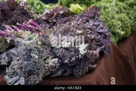 Das Supplemental Nutrition Assistance Program (SNAP) des USDA unterstützt Familien mit niedrigem Einkommen und bietet Zugang zu frischen, lokal angebauten Produkten auf Bauernmärkten wie dem Jack London Square in Oakland, Kalifornien. Stockfoto