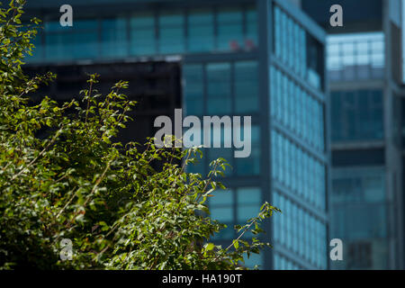 Dieses Bild stellt eine naturwissenschaftliche Veranstaltung dar, die vom USDA organisiert wird und sich auf Umweltverantwortung und nachhaltige Landnutzung konzentriert. Es enthält Schlüsselzahlen zu Klimawandel, Landwirtschaft und Bewirtschaftung natürlicher Ressourcen, um den Schutz der Ökosysteme und der biologischen Vielfalt zu gewährleisten. Die Veranstaltung unterstreicht die Notwendigkeit kooperativer Anstrengungen bei der Bewältigung der Umweltprobleme. Stockfoto