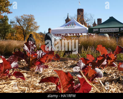 Das USDA Harvest Festival in Washington, D.C. bot Aktivitäten vom Farm-to-Fork, darunter Tipps zur Lebensmittellagerung, Rezeptvorführungen wie Roasted Butternut Squash und eine Erkundung von Space Gardening Initiativen mit der International Space Station. Stockfoto