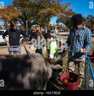 Das USDA Harvest Festival in Washington D.C. zeigt verschiedene landwirtschaftliche Themen, darunter Lebensmittellagerung, Raumfahrt und nachhaltige Gartenarbeit. Er hebt eine Vielzahl von Lebensmitteln hervor, wie gerösteter Butternusskürbis und Rotblattsalat, sowie die Rolle der Raumfahrt bei der landwirtschaftlichen Innovation. Stockfoto