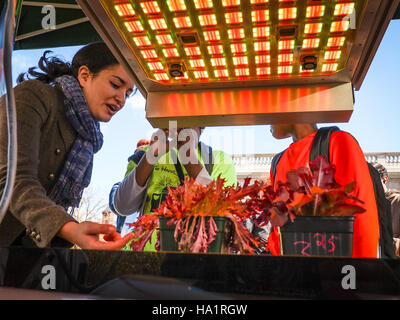 Das USDA Harvest Festival in Washington D.C. bot verschiedene Aktivitäten, darunter einen Bauernmarkt, Kochtipps und Techniken zur Lagerung von Lebensmitteln. Auf der Veranstaltung wurden die Initiativen vom Bauernhof bis zum Tisch vorgestellt, mit Ausstellungen zu Gartenarbeit, Baumwolle und Pilzen. Es zeigte auch den Volksgarten und Demonstrationen zum Anbau von Lebensmitteln in Basketballhäusern und Weltraumfarmen. Stockfoto
