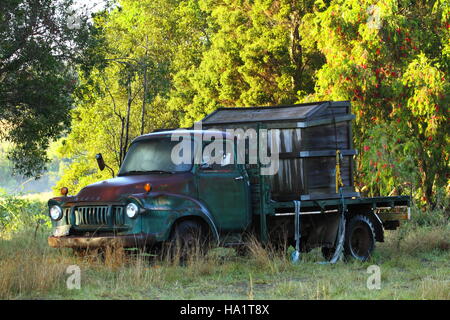 Eine rostige alte grüne Bedford LKW in Ruhe in einem Feld vor einem Dickicht der Bäume. Stockfoto