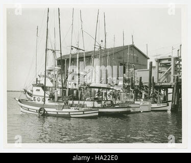 Sfmaritimenps-Sammlungen, die außerhalb der A. Romeo Fisch Co., ca. 1965-1975 21831555502 fünf Monterey Clippers am dock Stockfoto