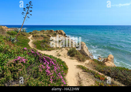 Sommer blühenden felsigen Atlantikküste Ansicht mit lila Blüten (Albufeira Ortsrand, Algarve, Portugal). Stockfoto