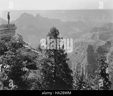 Dieses Foto erfasst den atemberaubenden Blick vom Bright Angel Point im Grand Canyon, einem der meistbesuchten Orte im Grand Canyon National Park. Bekannt für seine atemberaubenden Ausblicke bietet der Punkt einen Panoramablick auf die geologischen Formationen und lebhaften Farben des Canyons. Stockfoto