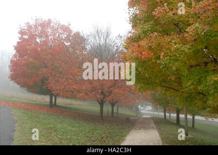Dieses herbstliche Foto des Valley Forge National Park fängt die ruhige Schönheit des Herbstnebels ein, der über die Landschaft zieht und die historische Bedeutung und natürliche Schönheit des Parks unterstreicht. Stockfoto