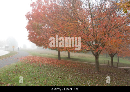 Dieses Foto des Valley Forge National Park fängt die nebelige, nebelige Atmosphäre des Parks im Herbst ein. Die Szene zeigt die ruhige Schönheit der natürlichen Landschaft des Parks, mit Herbstfarben und Nebel umhüllt die Bäume und schafft eine friedliche, fast ätherische Umgebung. Stockfoto