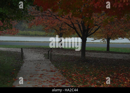 Ein ruhiges Foto des Herbstnebels im Valley Forge National Park. Das Bild fängt den dichten, ätherischen Nebel ein, der über die Landschaft zieht und eine friedliche, aber geheimnisvolle Atmosphäre schafft, die typisch für den Herbstmorgen in diesem historischen amerikanischen Park ist. Stockfoto