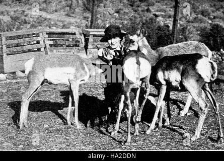 Grand Canyon historische Einsiedler Trail Stockfoto