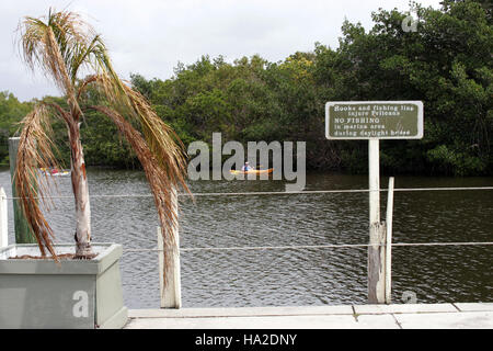Everglades Flamingo - Inland Waterway Stockfoto