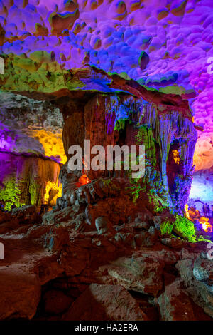 Hang Sung Sot Grotte, Halong Bucht, Vietnam, Asien Stockfoto