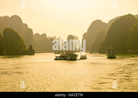Halong Bucht, Vietnam, Asien Stockfoto