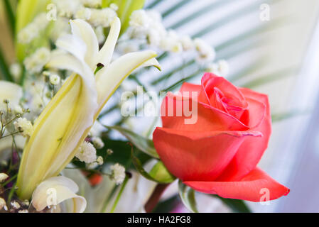 Blumenstrauß mit einer rosa rosa und weiße Lilie Stockfoto