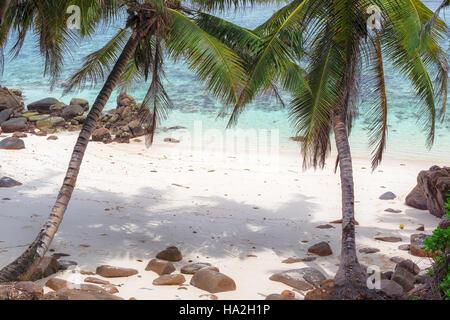 Tropische Küste in Seychellen, Mahe Stockfoto