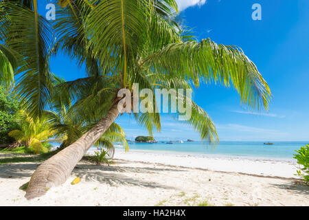 Wunderschönen tropischen Strand Stockfoto