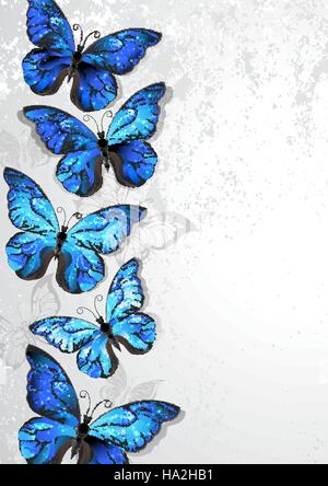 Design mit kunstvoll bemalte, Morpho Schmetterlinge mit schillernden blauen Flügeln auf einem grauen Hintergrund Textur. Morpho. Design mit blauer Schmetterlinge mo Stock Vektor