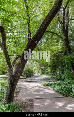 Gärten der Calouste Gulbenkian Foundation. Städtischer Park für die Öffentlichkeit zugänglich, und vor allem bei Studenten sehr beliebt Stockfoto