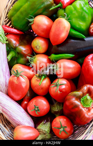 Korb mit frischen Tomaten, Paprika, Auberginen und Peperoni Stockfoto