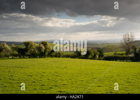 Blick auf einer sonnigen Wiese und blühende Hecke, wogenden Feldern, Hügeln und der Brecon Beacons in weiter Ferne. 6. Stockfoto