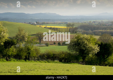 Blick auf einer sonnigen Wiese und blühende Hecke, wogenden Feldern, Hügeln und der Brecon Beacons in weiter Ferne. 4. Stockfoto