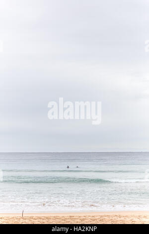 Zwei Surfer paddeln heraus zum Meer, Sydney, Australien Stockfoto