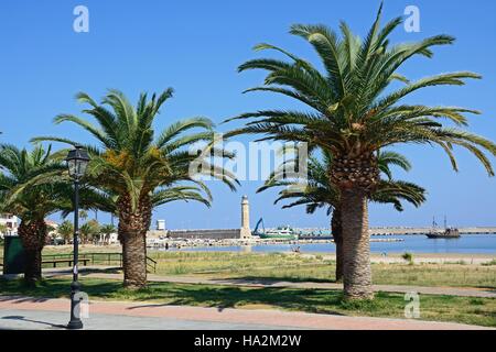 Blick auf den Leuchtturm, umrahmt von Palmen mit Touristen entlang dem Hafen Wand, Rethymno, Kreta, Griechenland, Europa. Stockfoto
