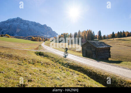 Frau-Mountainbiken in den Dolomiten, Südtirol, Italien Stockfoto