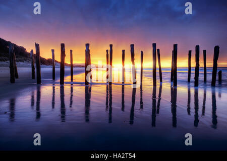 Sonnenaufgang über dem alten Steg bleibt, St Clair Beach, Dunedin, Südinsel, Neuseeland Stockfoto