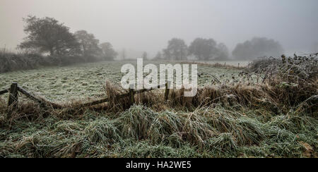 Frostigen Bereich mit Bäumen darüber hinaus nur sichtbar durch Nebel, aufgeschlüsselt Zaun im Vordergrund Stockfoto