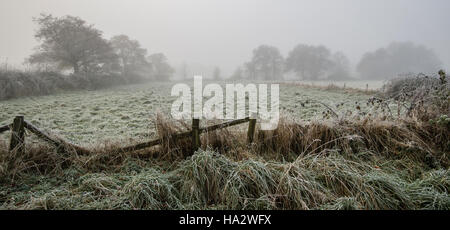 Frostigen Bereich mit Bäumen darüber hinaus nur sichtbar durch Nebel, aufgeschlüsselt Zaun im Vordergrund Stockfoto