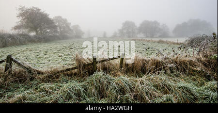 Frostigen Bereich mit Bäumen darüber hinaus nur sichtbar durch Nebel, aufgeschlüsselt Zaun im Vordergrund Stockfoto